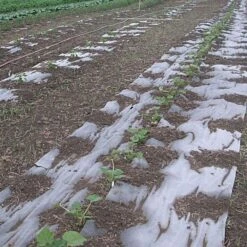 Biodegradable Paper Mulch, 3 Feet By 500 Feet -Landscape greening equipment wg36500f 8