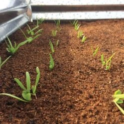 Wonder Soil Expand & Plant Organic Planting Mix, 2.5 Cu. Ft. -Landscape greening equipment wsepoc25 2