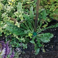 Weed Wand Magic Applicator With 3 Replacement Tips -Landscape greening equipment wwata 3